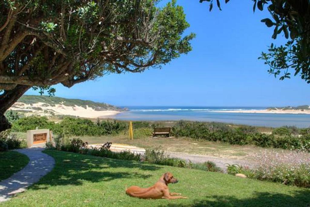 Milkwood Manor B & B เคนตัน ออน ซี ภายนอก รูปภาพ